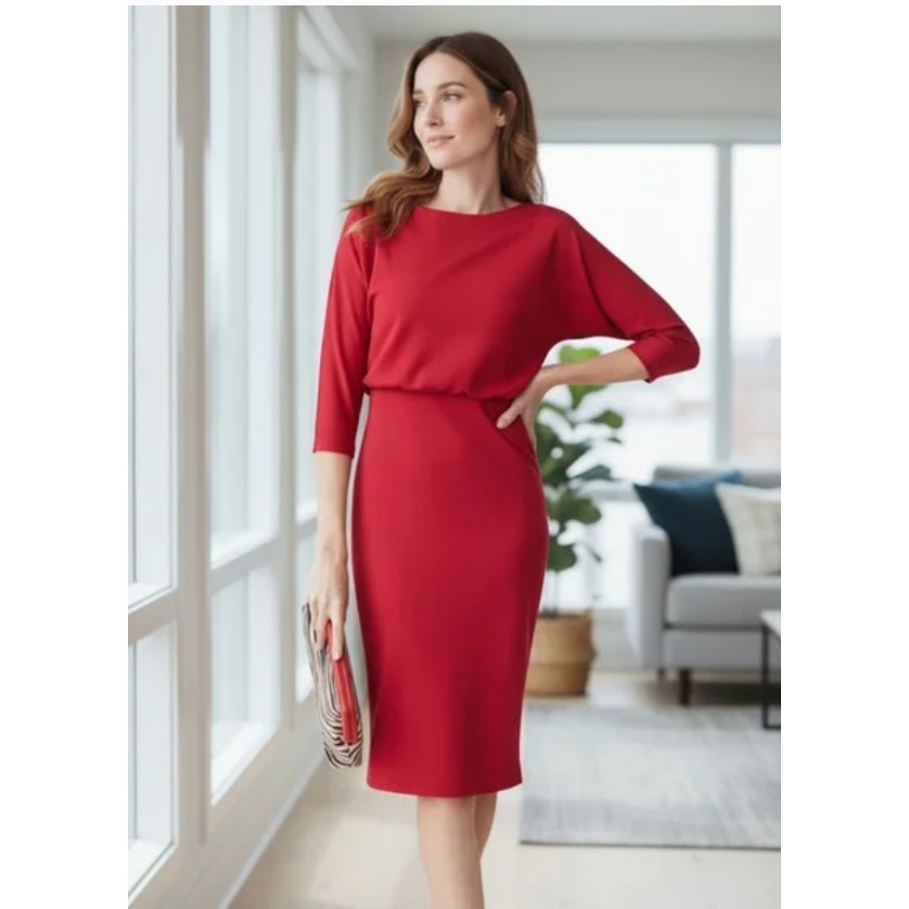 J. Mclaughlin Tinley Dress Dark Red 3/4 Sleeve